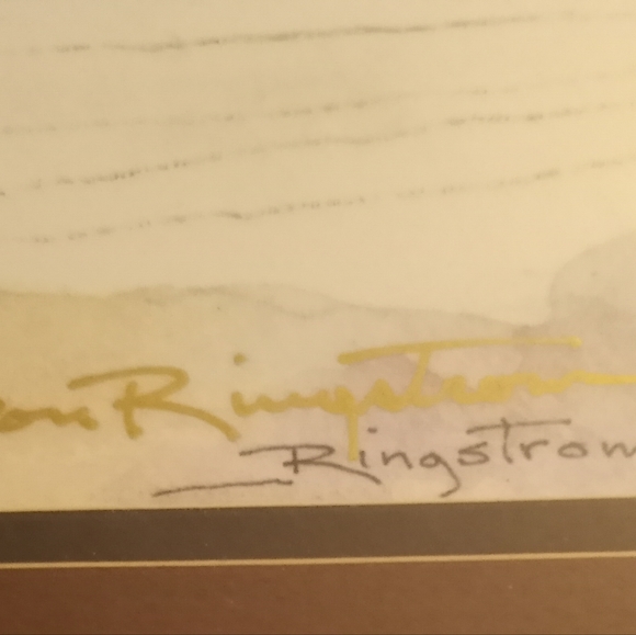 DON RINGSTROM Snowfall 59/100 - Picture 2 of 8